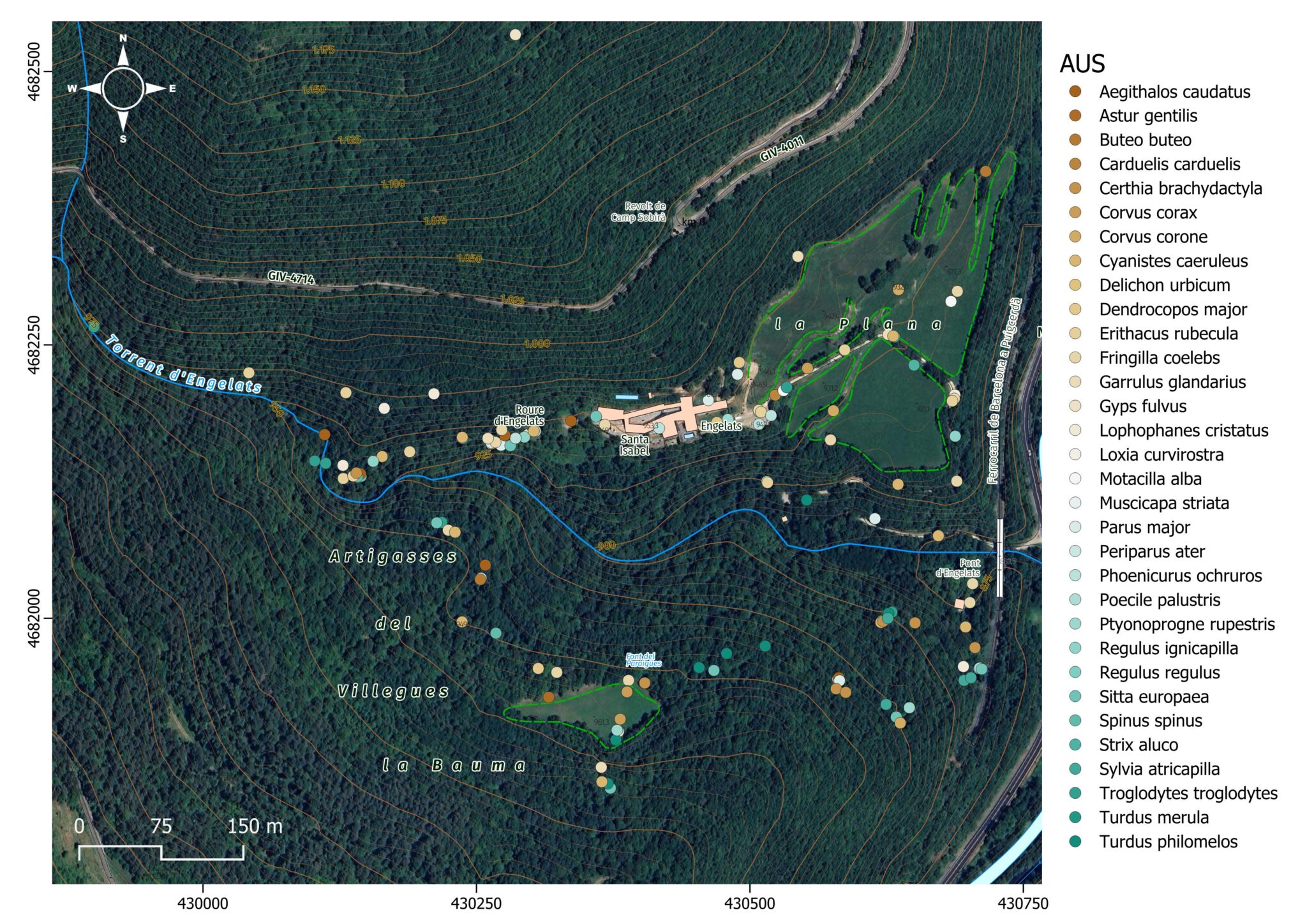 MATERIAL NO DEFINITIU_Mapa AUS_2